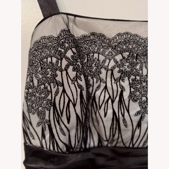 R&M Richard’s Women Floral Dress 18W Sheer Metallic Silver Whimsigoth Romantic - Picture 6 of 15